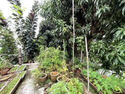 Upper Changi Road North (D17), Semi-Detached #495578981